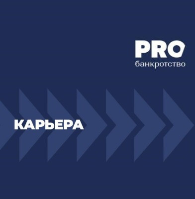 Руководитель проектов по проблемным активам